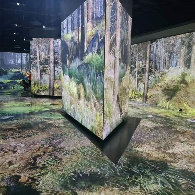 探索鳥類王國，看創意光影下的飛羽之美